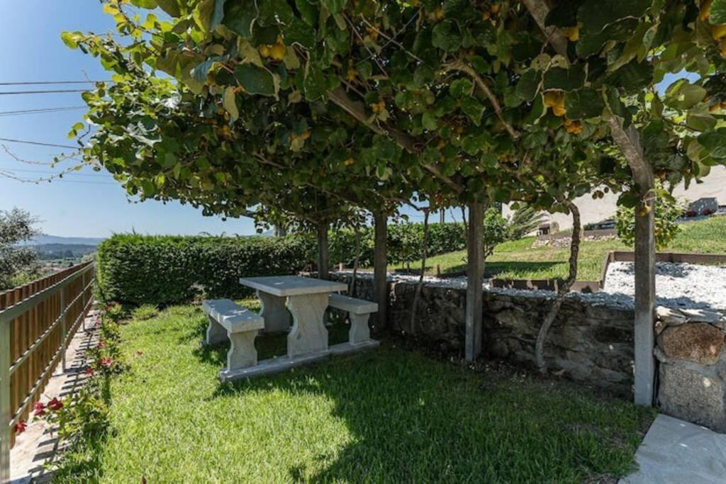 Fernandes Guest House Bright Private Suite Ponte de Lima Kültér fotó